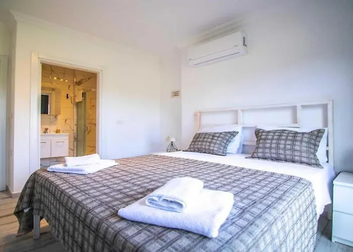 Dadya 3 - With Private Pool In Marmaris Turgut Willa