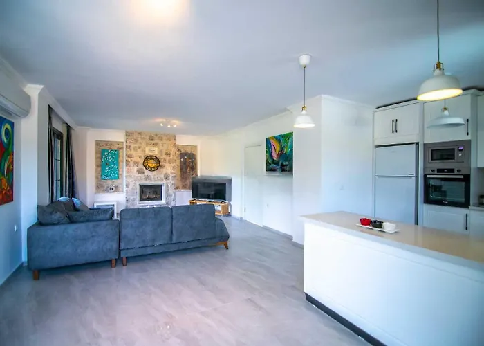 Dadya 3 - With Private Pool In Marmaris Turgut